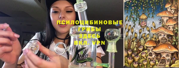 прущие крисы Алзамай