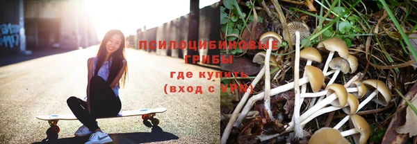 прущие крисы Алзамай